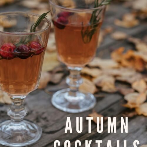 Autumn and Fall Cocktails for Sipping and Reading