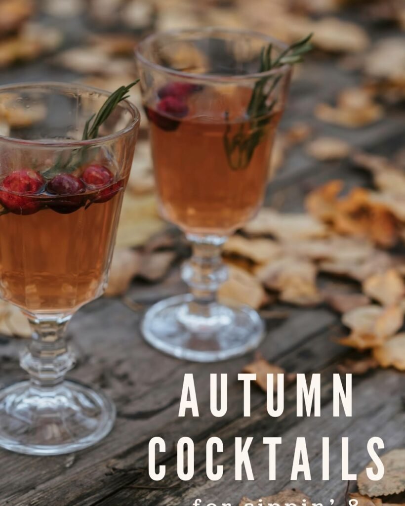 Autumn and Fall Cocktails for Sipping and Reading