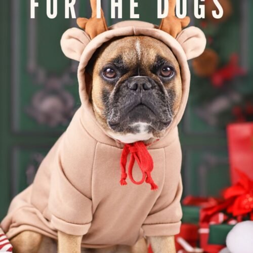 A Christmas for the Dogs Blog Post Cover Art