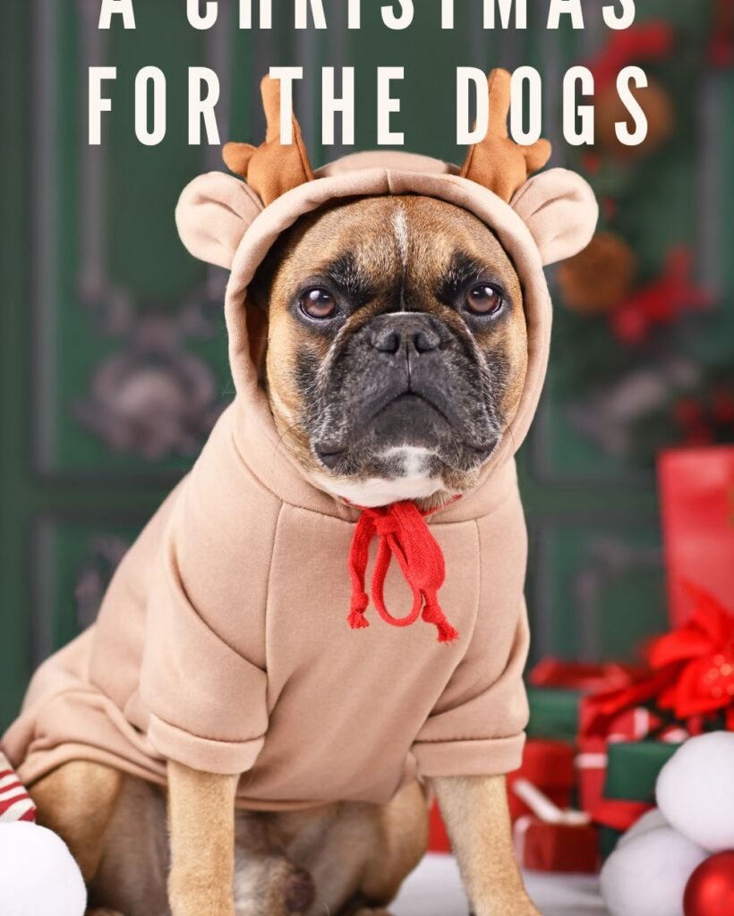A Christmas for the Dogs Blog Post Cover Art