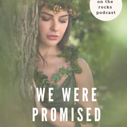 We Were Promised Fairy Smut Blog Cover Art with a fairy