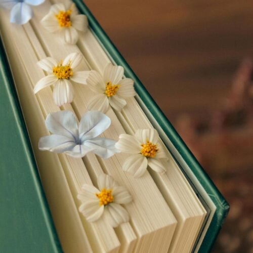Bookmark this Blog Blog Cover Post