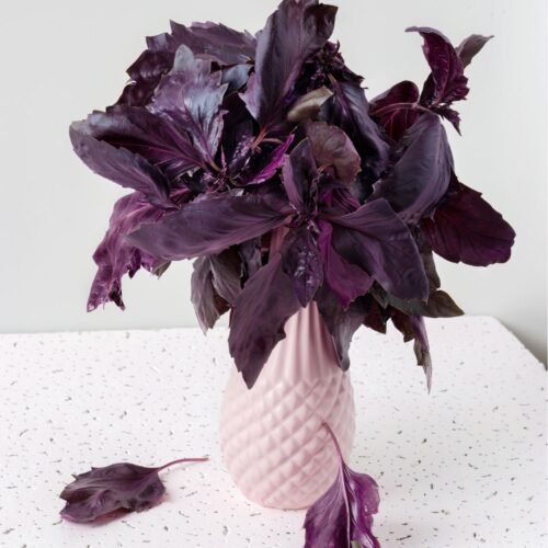 Create Your Own Shadow Garden Blog Post Cover Art