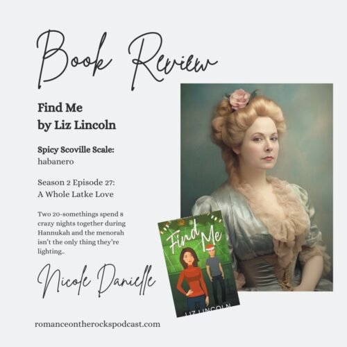 Book Review: Find Me by Liz Lincoln Blog Post Cover Art
